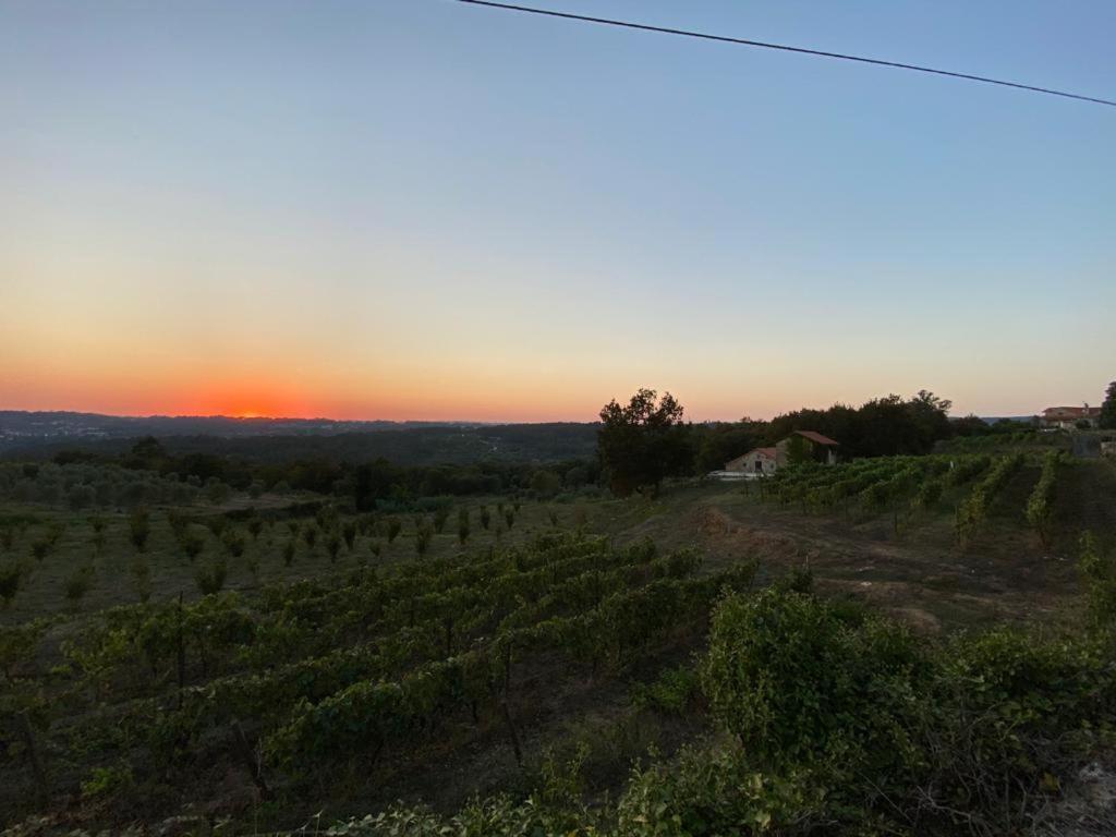 Séjour à la ferme Quinta Casa Do Retiro